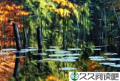 微寒正是可人天
