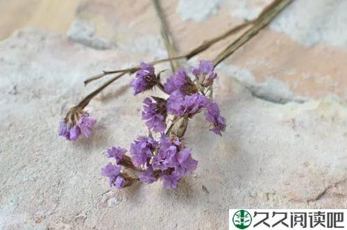 最快乐的活法（深度好文）