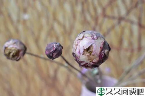 最快乐的活法（深度好文）