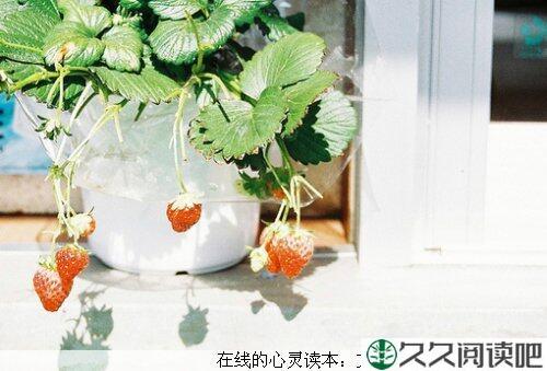 生活有进有退 输什么也不能输了心情