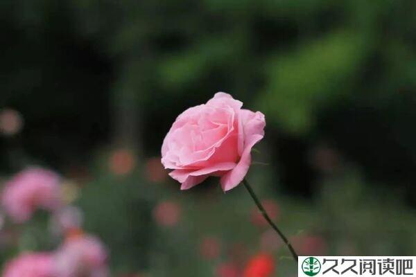别难过，生活永远不会抛弃你