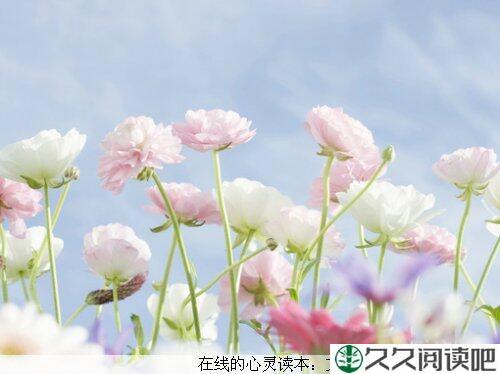 并不是每个在你身上拉屎的都是你的敌人