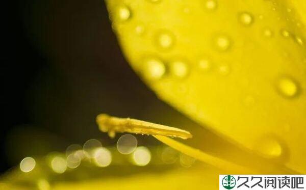 只要想开始，永远都不晚