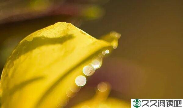 只要想开始，永远都不晚