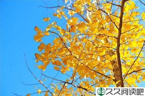 要么热气腾腾，要么死气沉沉