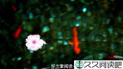 我在飘零