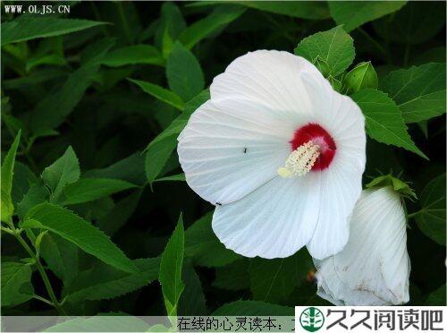 机会只有一次