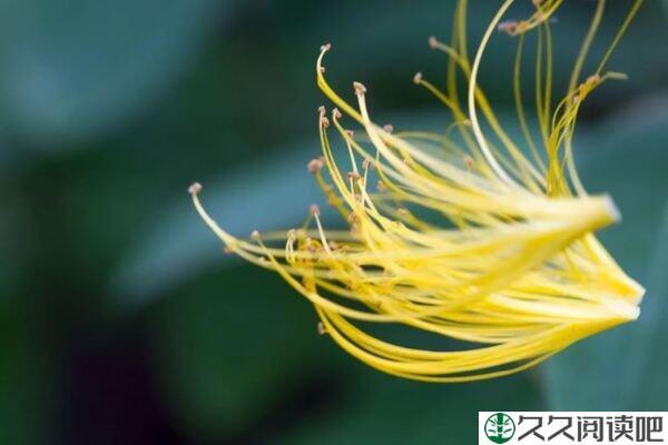 逐梦启航，活成自己喜欢的模样