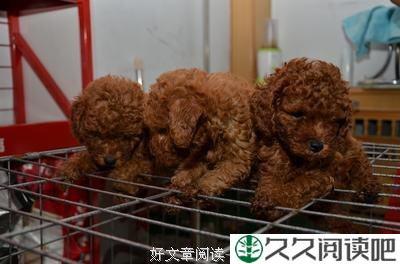 有懂我意思的吗？