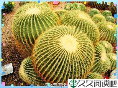 美好的记忆永不会泛黄——悼我们的班长