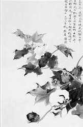 一头白发