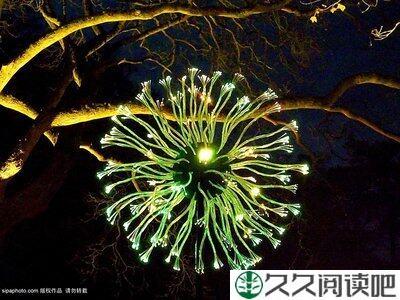 《冬日之光》的观后感10篇