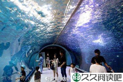 一支桨也能遨游大海