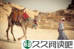 什么是爱