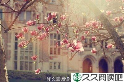 快乐，就是把幸福的沸点降低一些