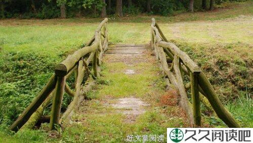呆板虿与黄蜻蜓