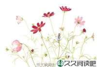 小花