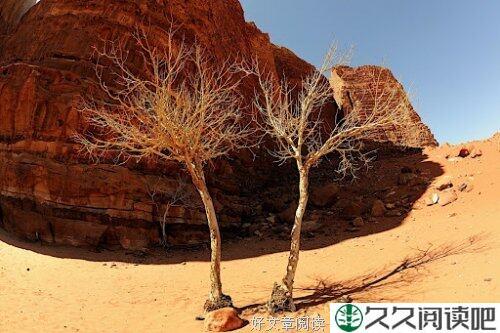脚下的路，好陌生