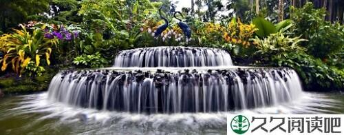未名湖畔，留学生快乐诵读《德道经》