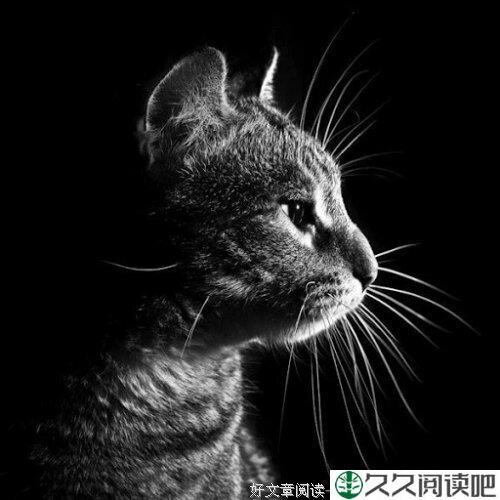 缘，在心尖