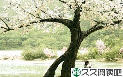 寂寞空庭春欲晚优美的句子