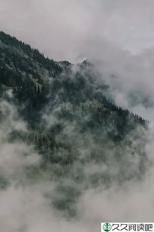 让人流泪的“变态”服务餐