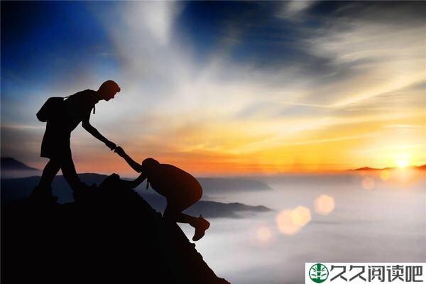 狮王管理狼群