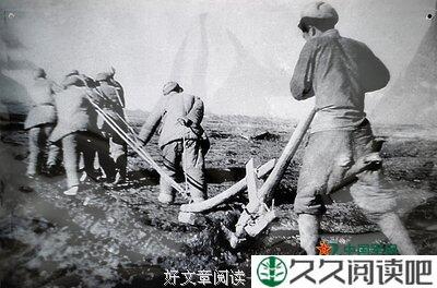 一生的忠诚