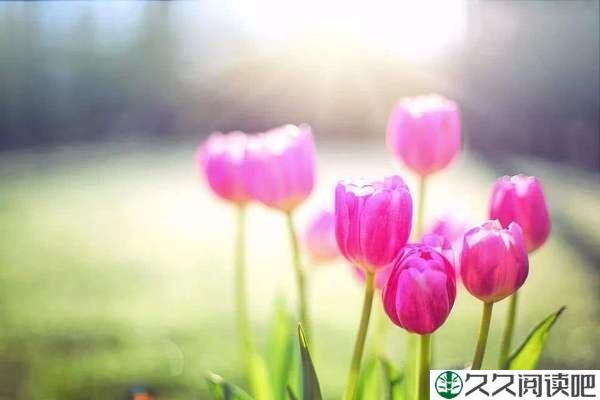 新的一天：带上自己的阳光，向春天出发
