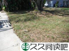 忍着就会见阳光