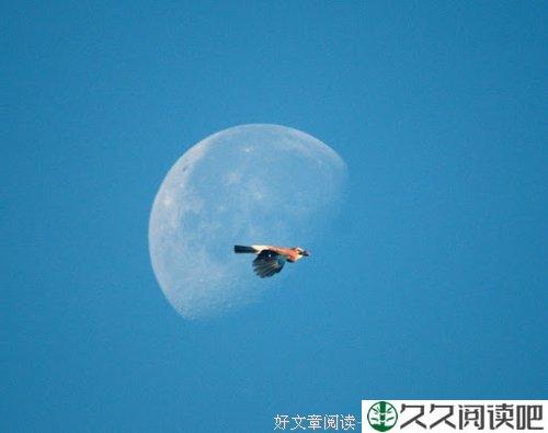 笑着走下去