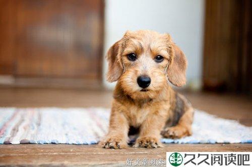 你所说的话正是你的人生