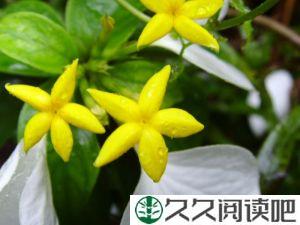 尊重经验的人，才能少走弯路