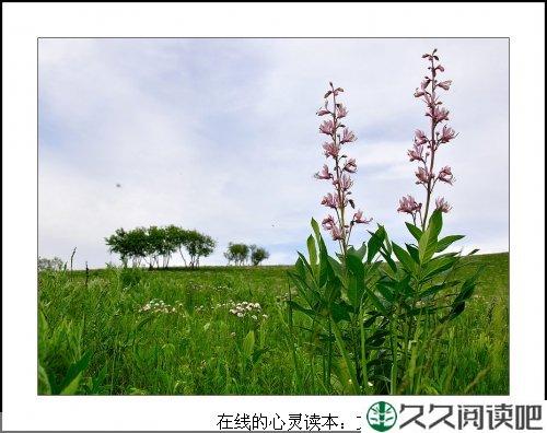 活给自己 笑给自己 演给自己 唱给自己