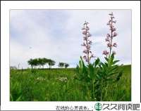 活给自己 笑给自己 演给自己 唱给自己