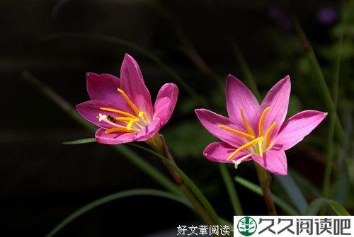 人的善良来自干净的心底