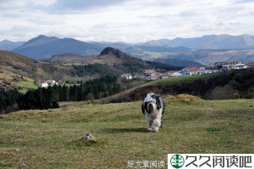 致我的三年