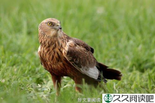无人像你