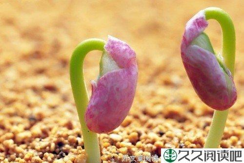 人生并非一定要走到点才叫成功