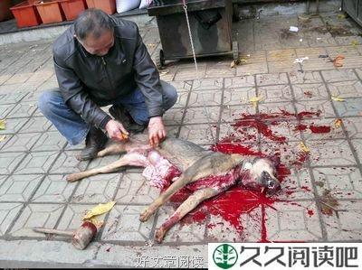 Moving On, 走下去
