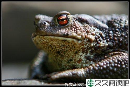离去的是风景，留下的才是人生