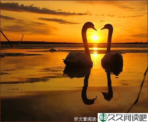渴望过一个有家的除夕
