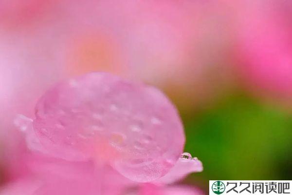 从今天起，做一个可爱的人