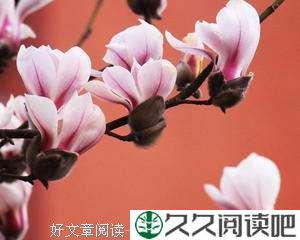 百般算计，不如一颗单纯的心（深度）