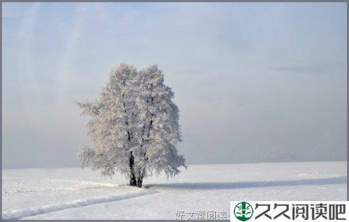 守望亲情