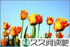 人生路上 时刻带上自己的阳光