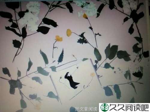 我是因为你，才爱上了这个世界