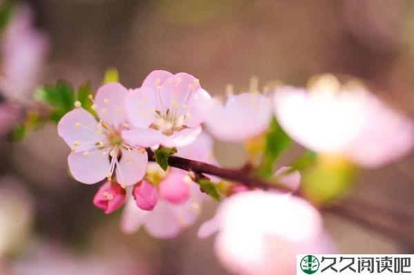 管它晴天雨天，笑对人生每一天