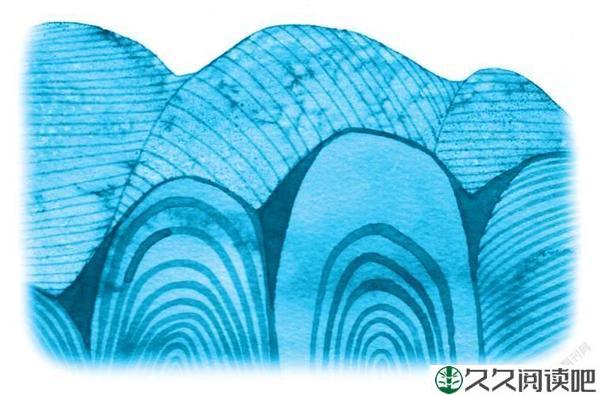 山腰也有好风光