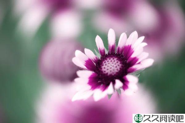 懂得做自己，比懂事更重要
